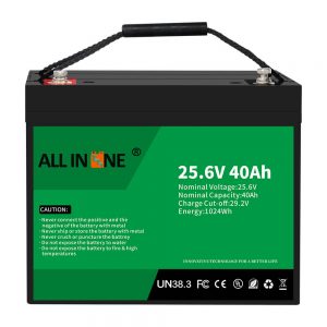 Pin Lithium Iron Phosphate 25,6V 40Ah / Thay thế