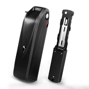 Pin ebike xe điện Hailong 48V 15Ah