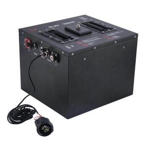 Pin xe golf LiFePO4 51,2V 105Ah